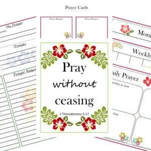 Prayer and Praise Journal